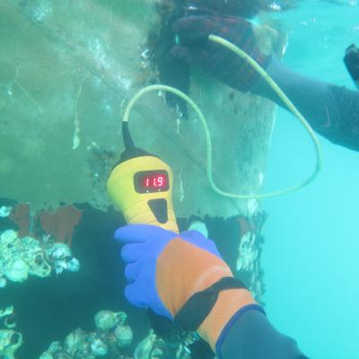 Tanjung Sulong Export Terminal Underwater Diving Inspection, PETRONAS Gas Berhad